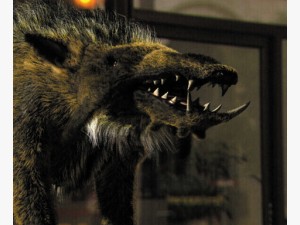 Mega Hog Profile Image
