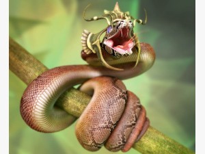 Snake Profile Image