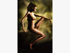 Naturel Selection Profile Image